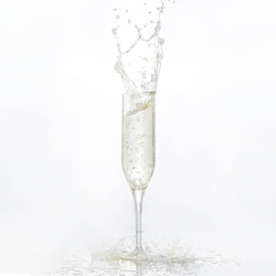Champagne High-Ball